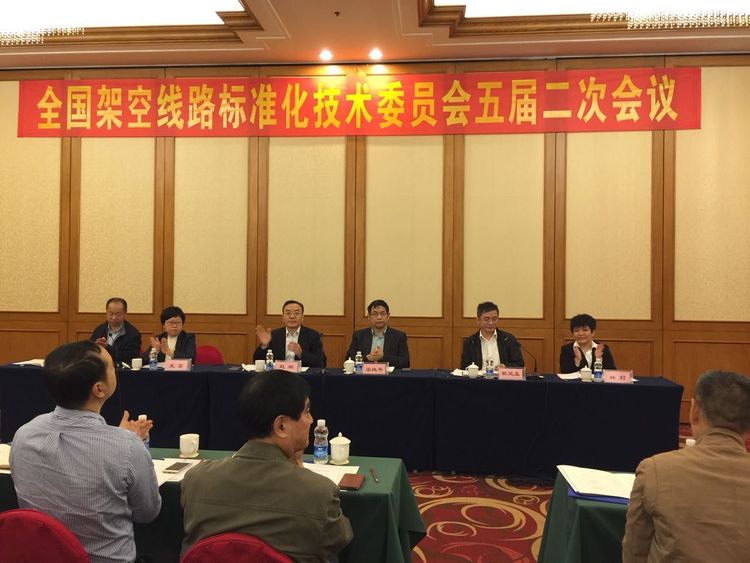 德赢电气集团应邀参与全国架空线路尺度化技术委员会五届二次会议